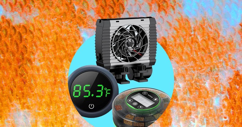 Gadgets para aquário: como automatizar o cuidado com peixes