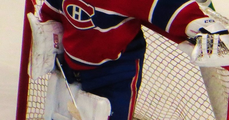 Volatility Shares e Roundhill registram 32 ETFs na SEC vinculados a times da NHL
