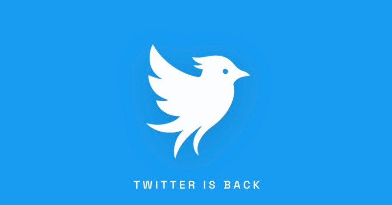 Twitter.now: a nova rede social que enfrenta a X Corp