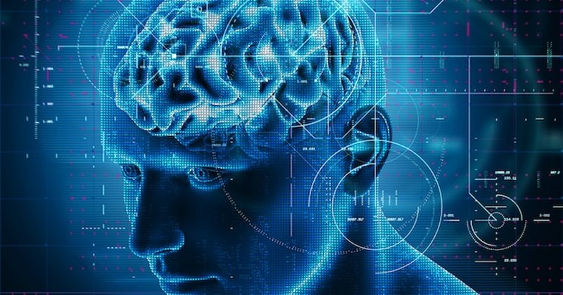 Estudo mostra que LLMs desenvolvem modular cognitiva similar ao cérebro humano