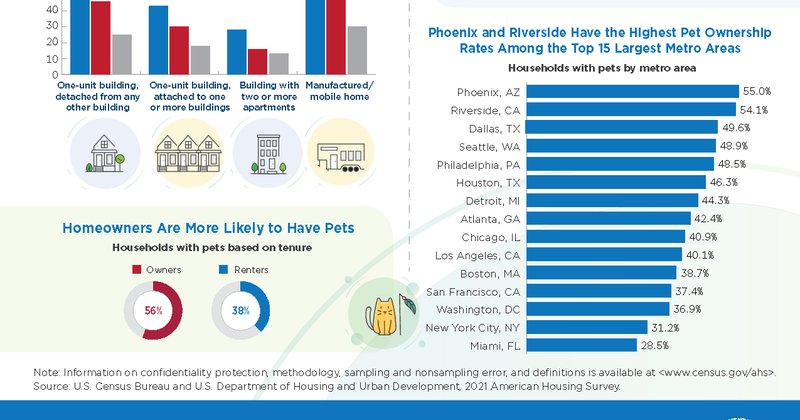 Pets, saúde e bem-estar dominam investimentos de consumo, dizem especialistas