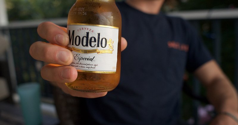 Modelo ERDM simula como agentes desenvolvem comportamentos adaptativos e maladaptativos