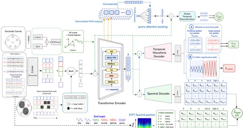 MANAS-2: modelo de fundação para EEG aposta em reconstrução restrita
