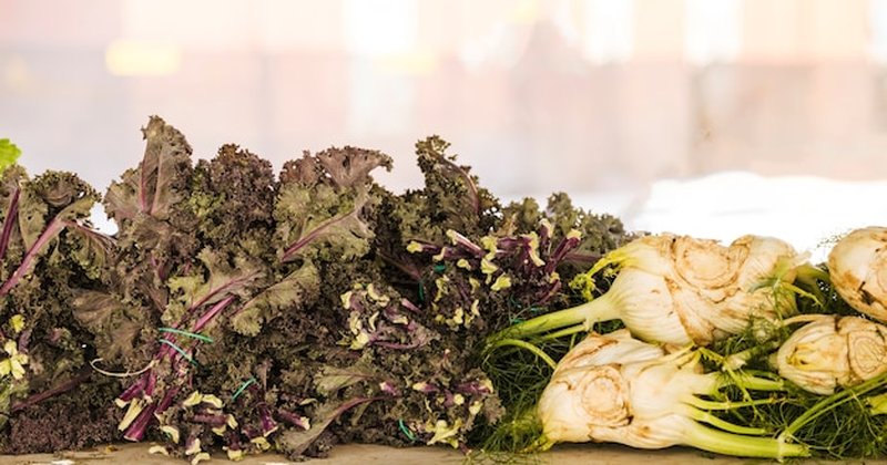 Gotham Greens: surtos de contaminação derrubam demanda por folhosas